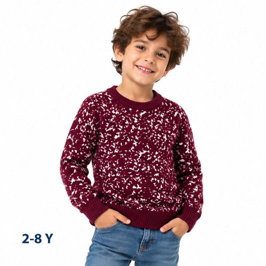 Boys pullover